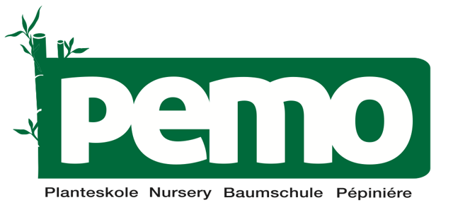 Pemo-Bambus